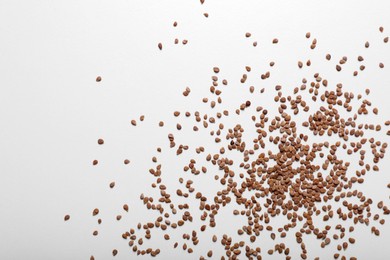 Photo of Many tomato seeds on white background, top view