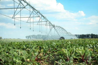 Photo of Center pivot irrigation system watering agricultural field 