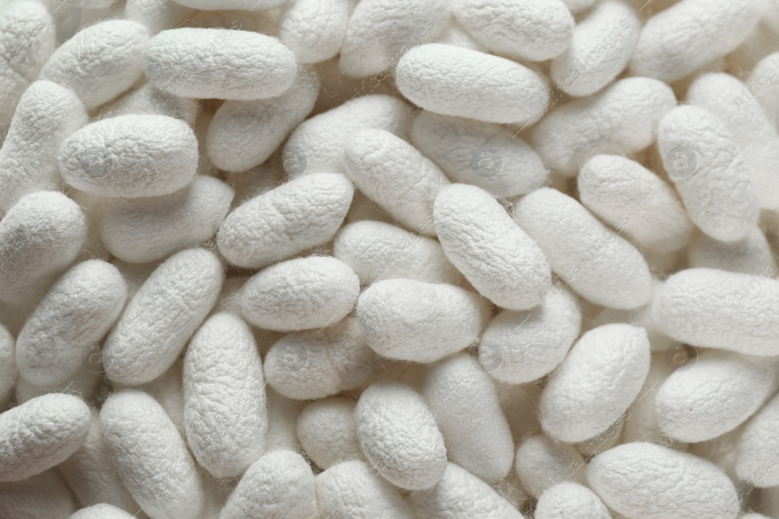 Photo of Pile of natural silkworm cocoons as background, closeup