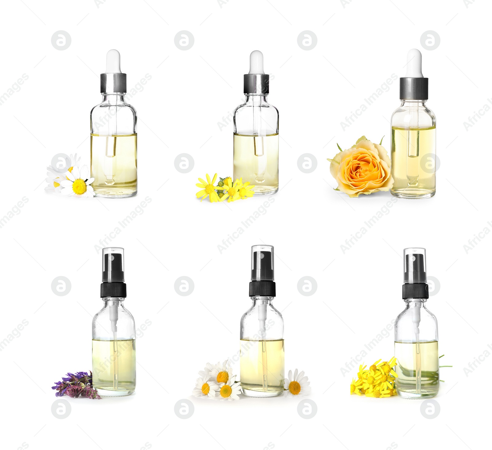 Image of Set with bottles of different essential oils and fresh flowers on white background