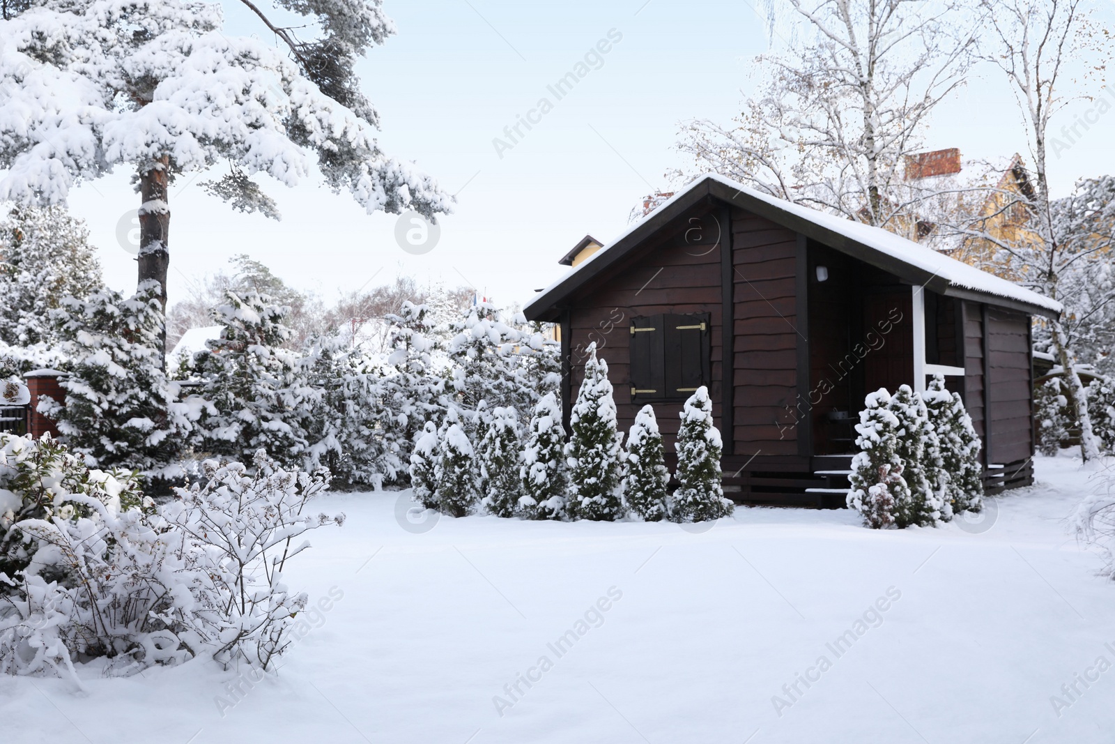 Photo of Winter landscape with wooden house, trees and bushes in morning