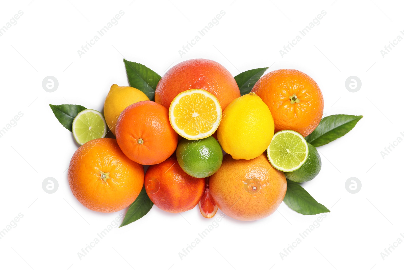 Photo of Different citrus fruits on white background, top view