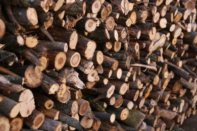Stack of cut firewood as background, closeup view