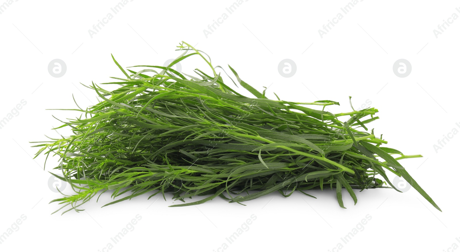 Photo of Bunch of fresh tarragon on white background