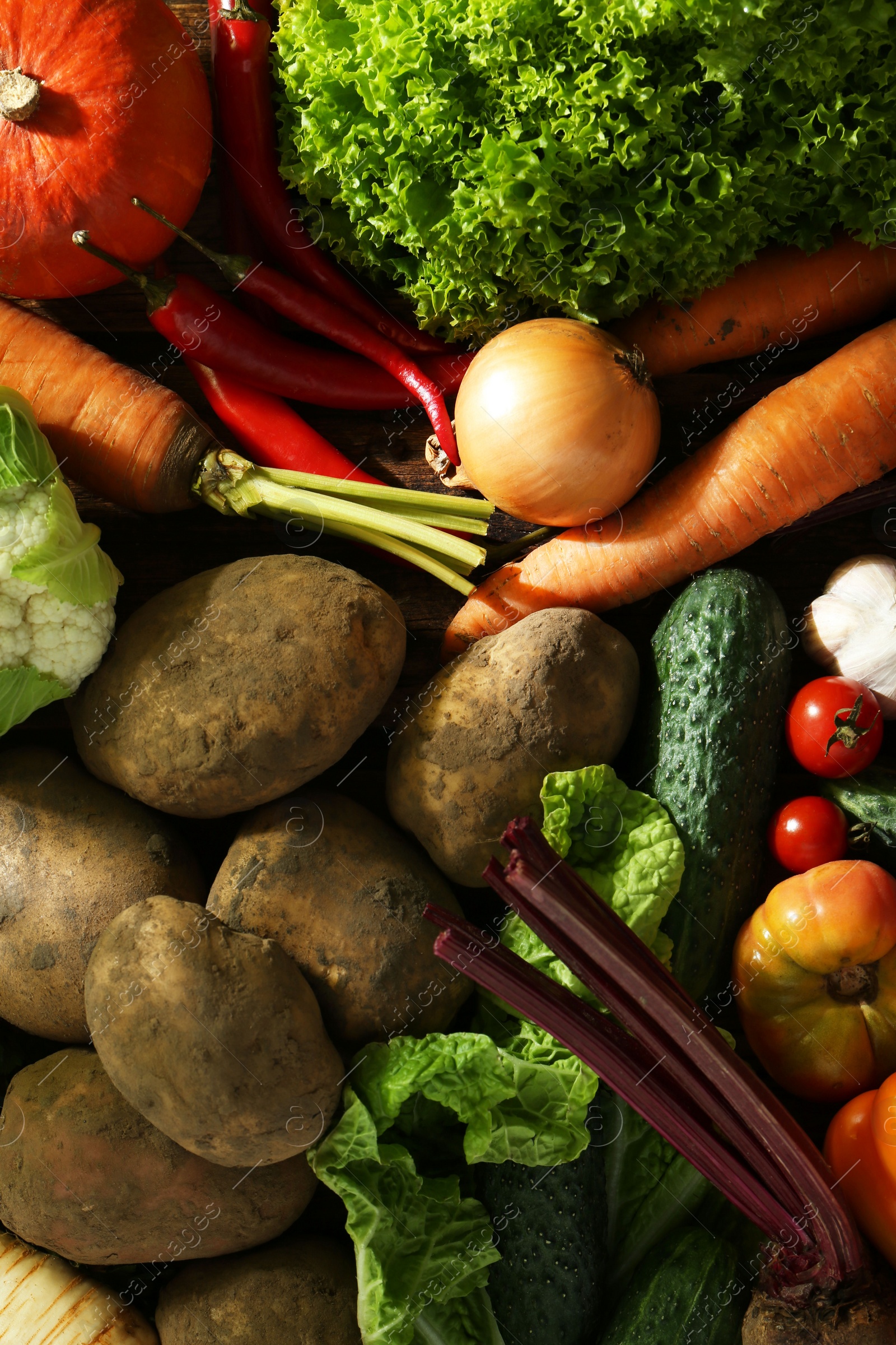 Photo of Different fresh ripe vegetables as background, top view. Farmer produce