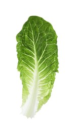 Fresh leaf of green romaine lettuce isolated on white