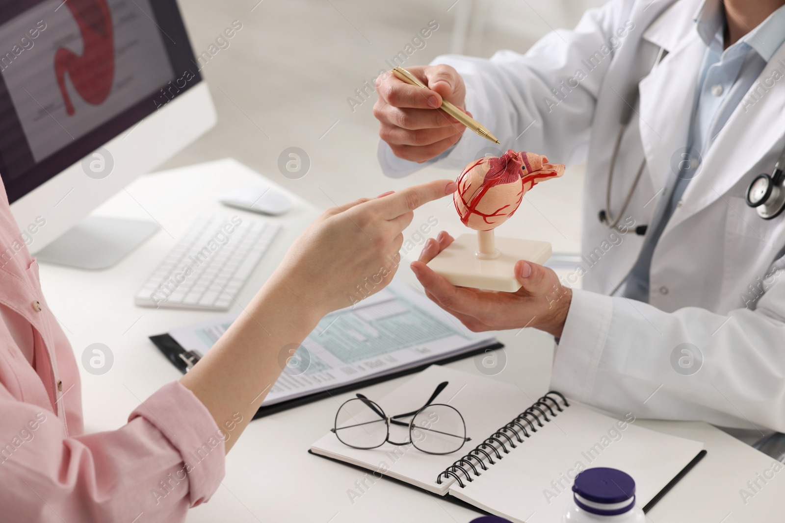 Photo of Gastroenterologist with human stomach model consulting patient at table in clinic, closeup