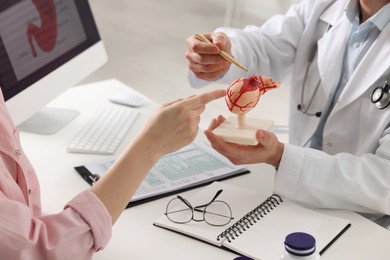 Gastroenterologist with human stomach model consulting patient at table in clinic, closeup