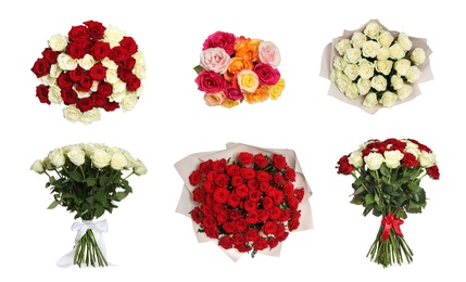 Set of beautiful rose bouquets on white background