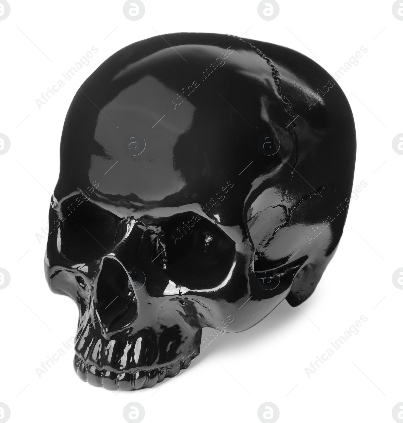 Photo of Black glossy human skull isolated on white