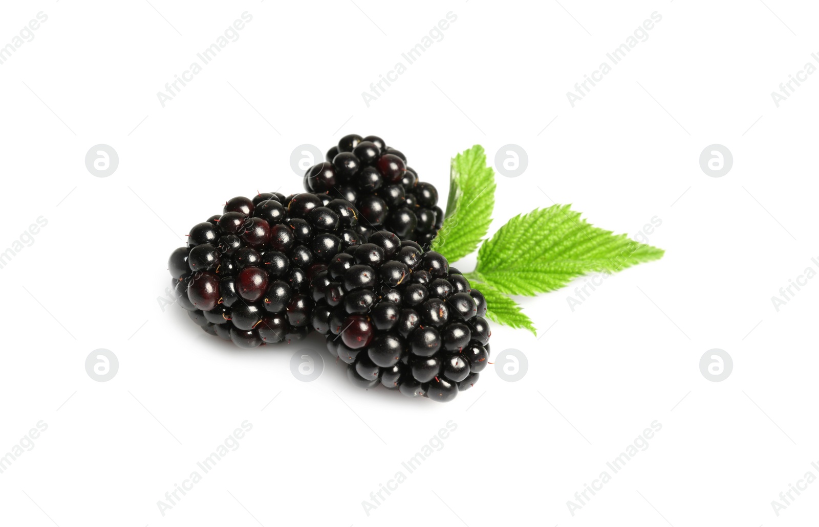 Photo of Tasty ripe blackberries and green leaves isolated on white