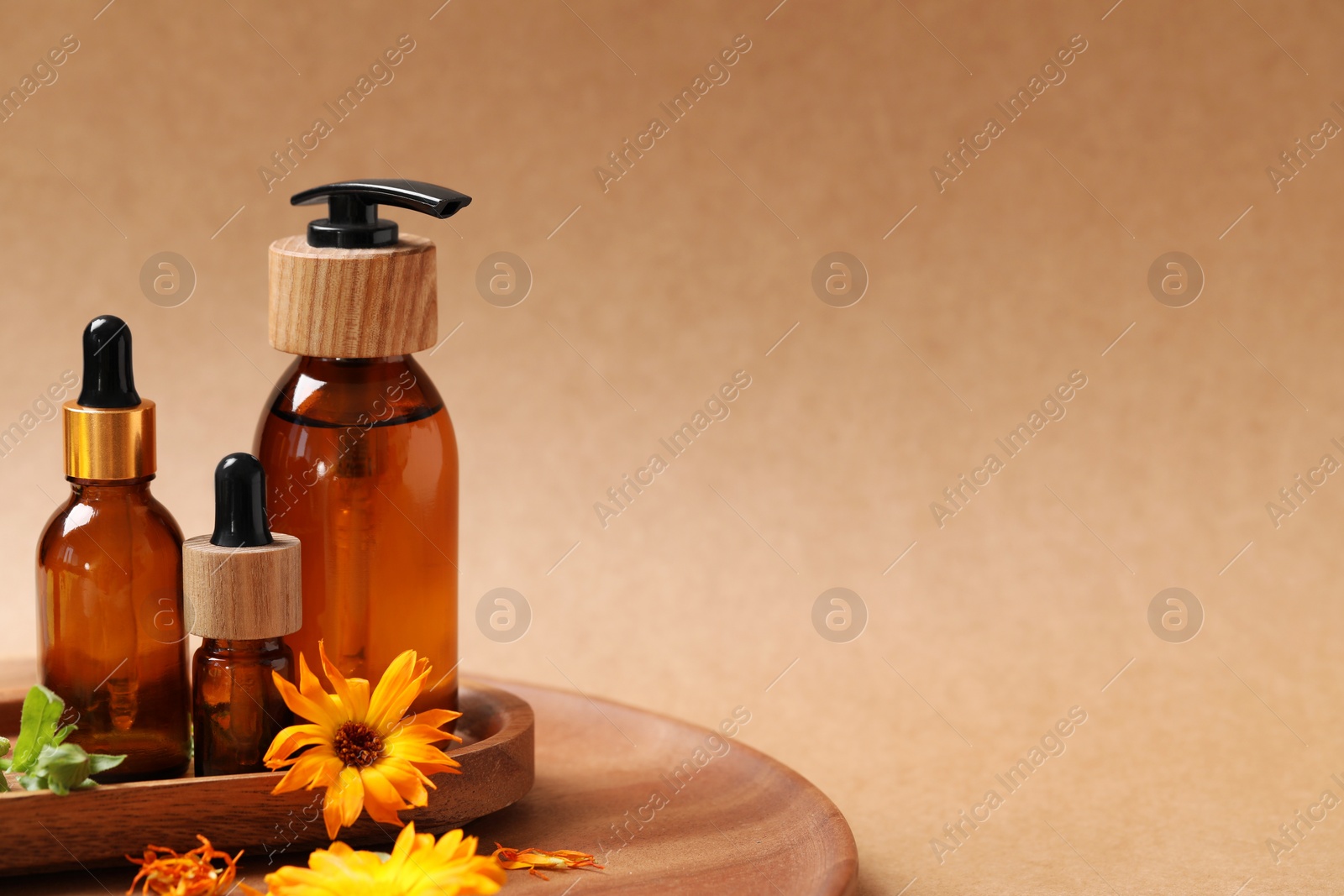 Photo of Bottles of essential oils and beautiful calendula flowers on light brown background, space for text