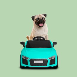 Image of Cute Pug dog in toy car on light green background