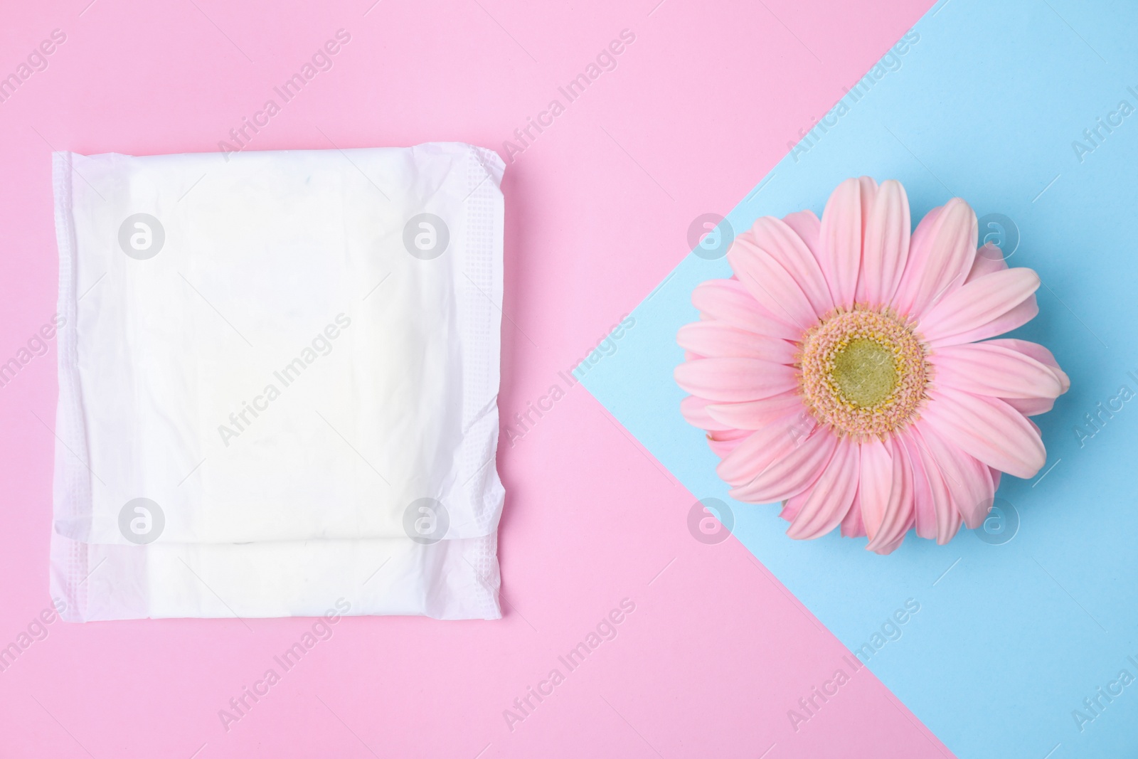 Photo of Flat lay composition with menstrual pad and gerbera flower on color background. Gynecological care