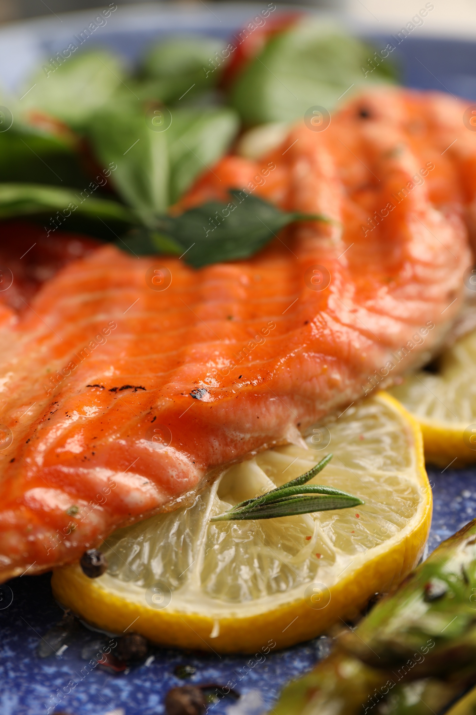 Photo of Tasty grilled salmon with lemon and spices on plate, closeup