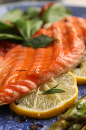 Tasty grilled salmon with lemon and spices on plate, closeup