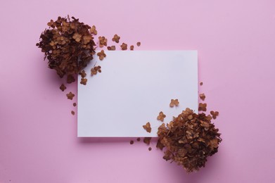 Photo of Dried hortensia flowers and sheet of paper on pink background, flat lay. Space for text