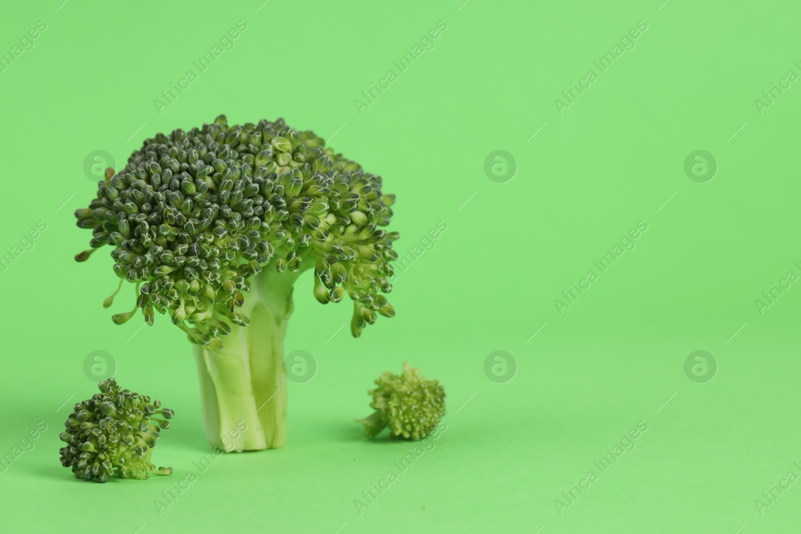 Photo of Fresh raw broccoli on light green background. Space for text