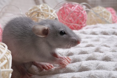 Photo of Cute grey rat on white fabric. Space for text