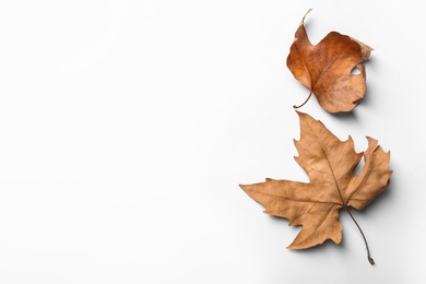 Photo of Dry autumn leaves on white background, top view