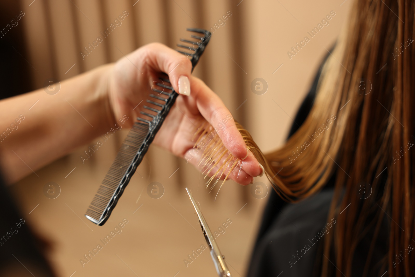 Photo of Professional hairdresser cutting girl's hair in beauty salon, closeup