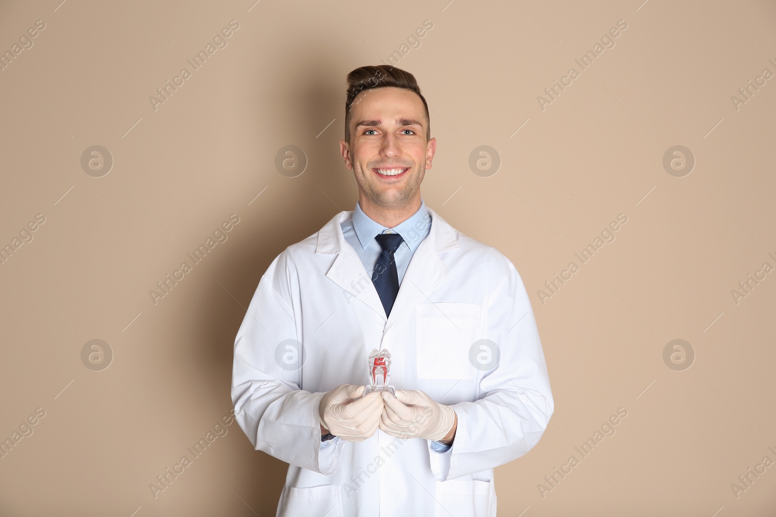 Photo of Male dentist holding tooth model on color background