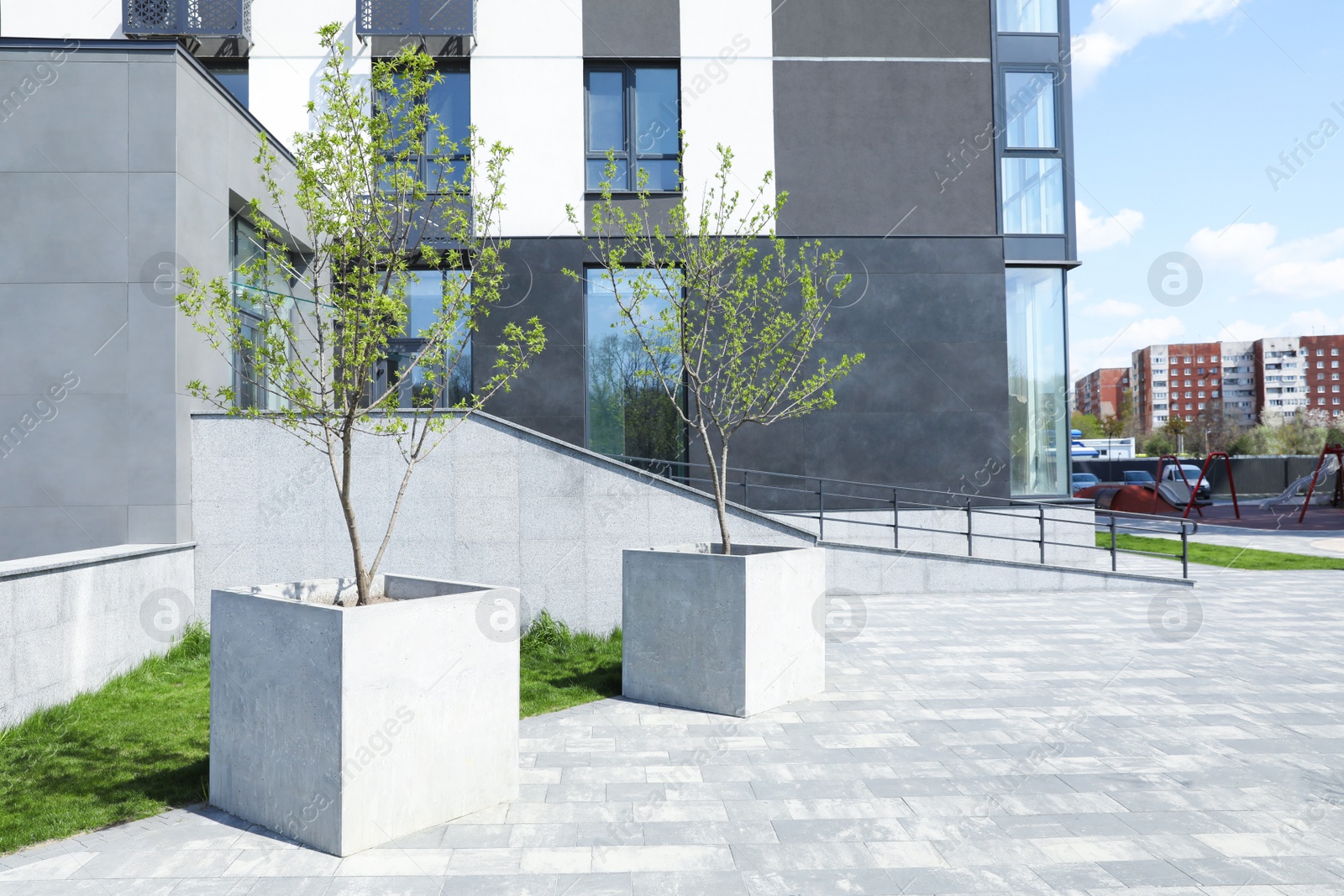 Photo of Young trees near modern buildings on sunny day