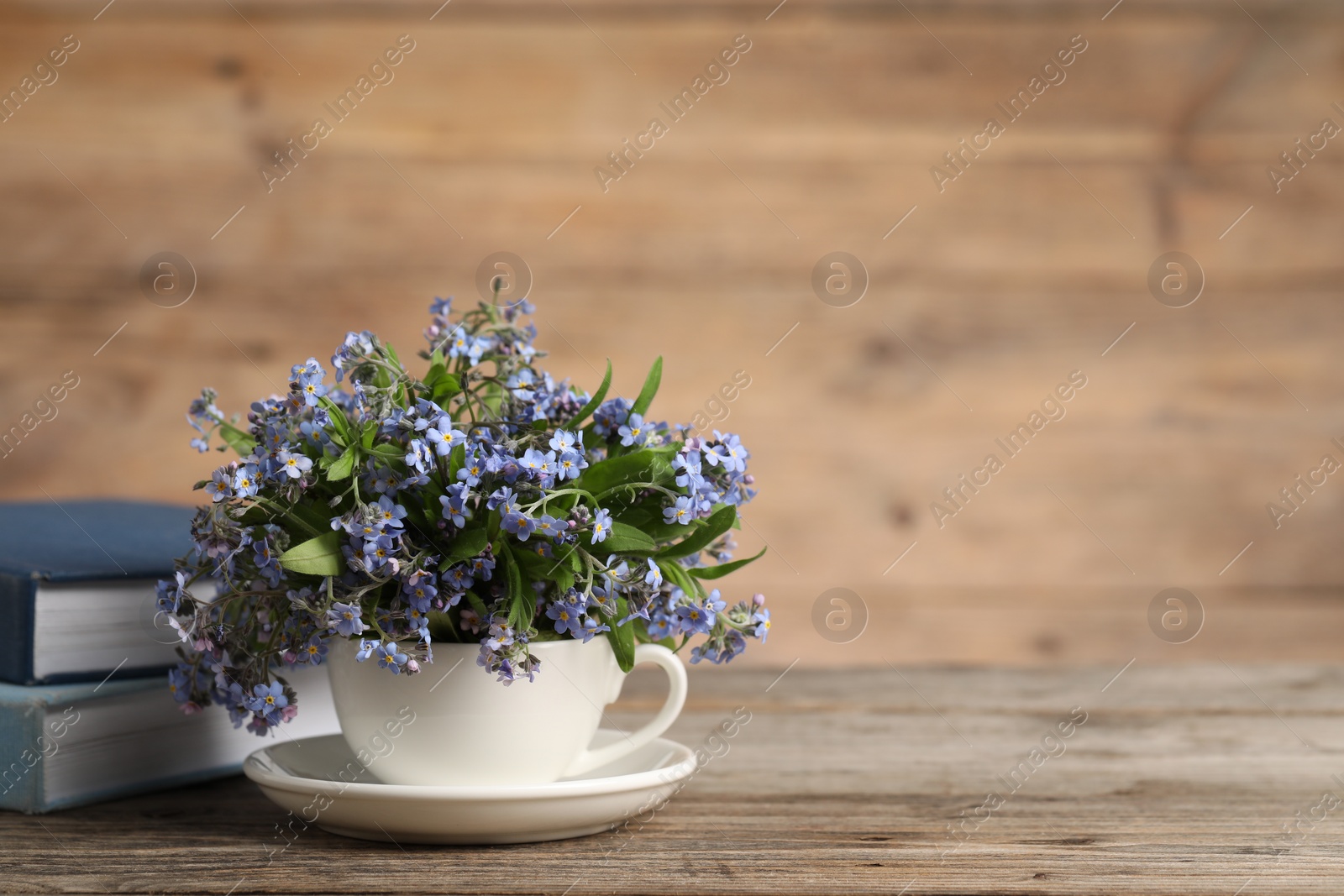 Photo of Beautiful forget-me-not flowers in cup, saucer and books on wooden table, closeup. Space for text
