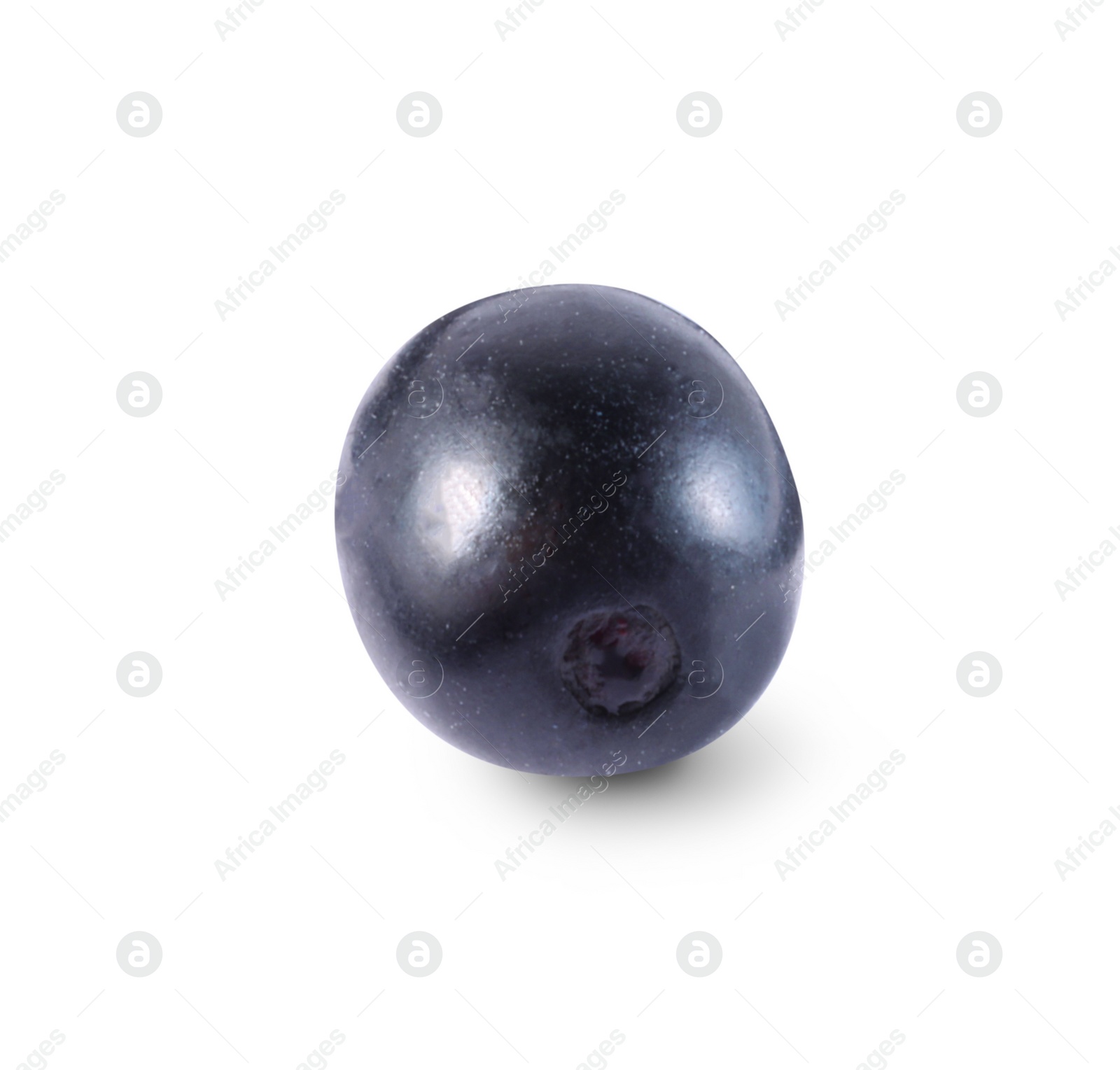 Photo of One tasty ripe bilberry isolated on white