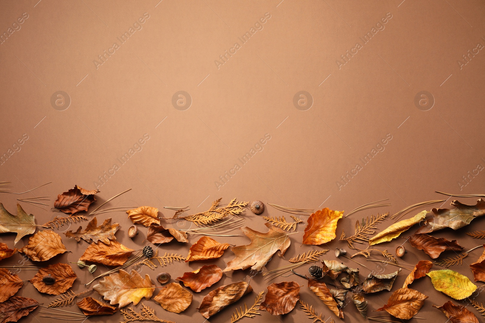 Photo of Flat lay composition with dry autumn leaves on brown background, space for text