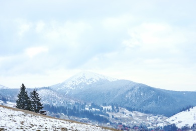 Photo of Winter landscape with mountain village near conifer forest