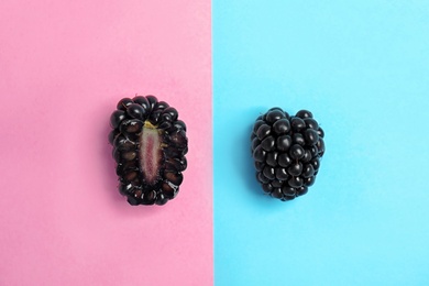 Flat lay composition with ripe blackberries on color background