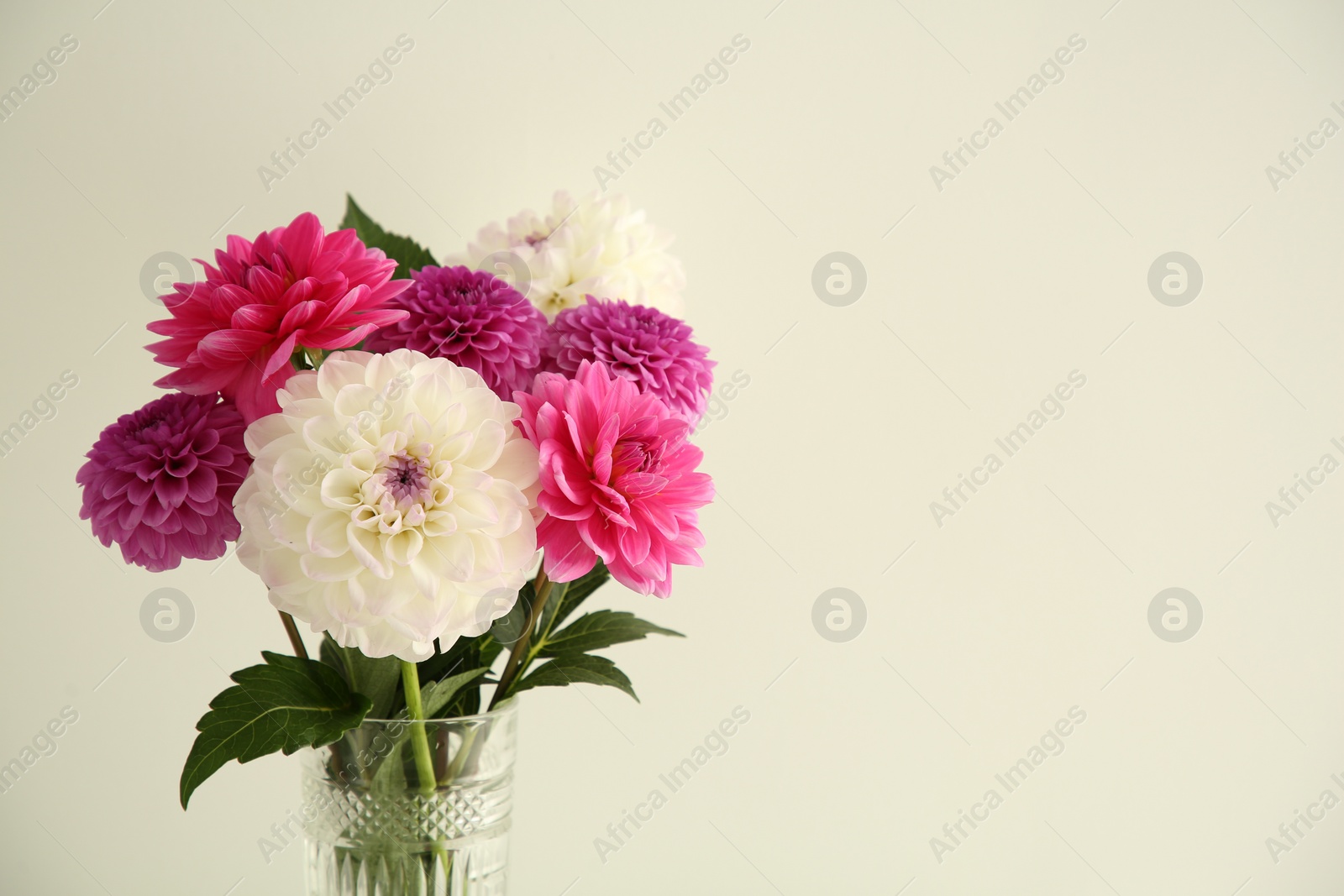 Bouquet of beautiful Dahlia flowers near white wall, space for text Photo of Bouquet of beautiful Dahlia flowers near white wall, space for text