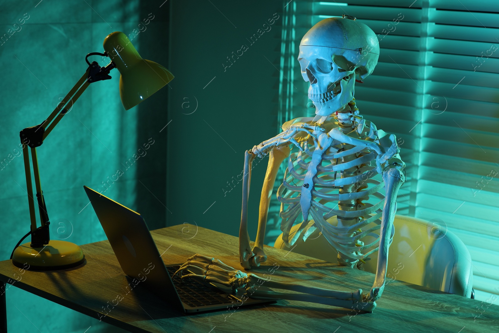 Photo of Waiting concept. Human skeleton sitting at wooden table with laptop indoors