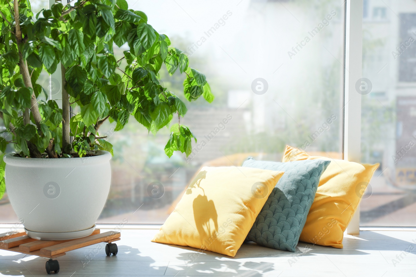 Photo of Different pillows near window in room