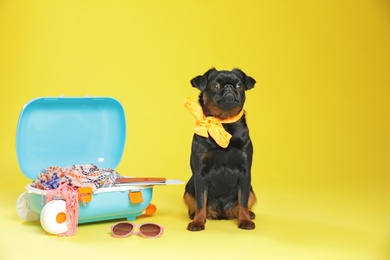 Photo of Adorable black Petit Brabancon dog and open suitcase on yellow background