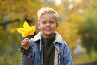 Photo of Portrait of happy boy with autumn dry leaf outdoors