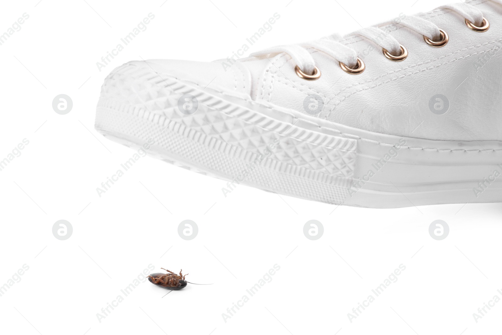 Photo of Person crushing cockroach with feet on white background, closeup. Pest control