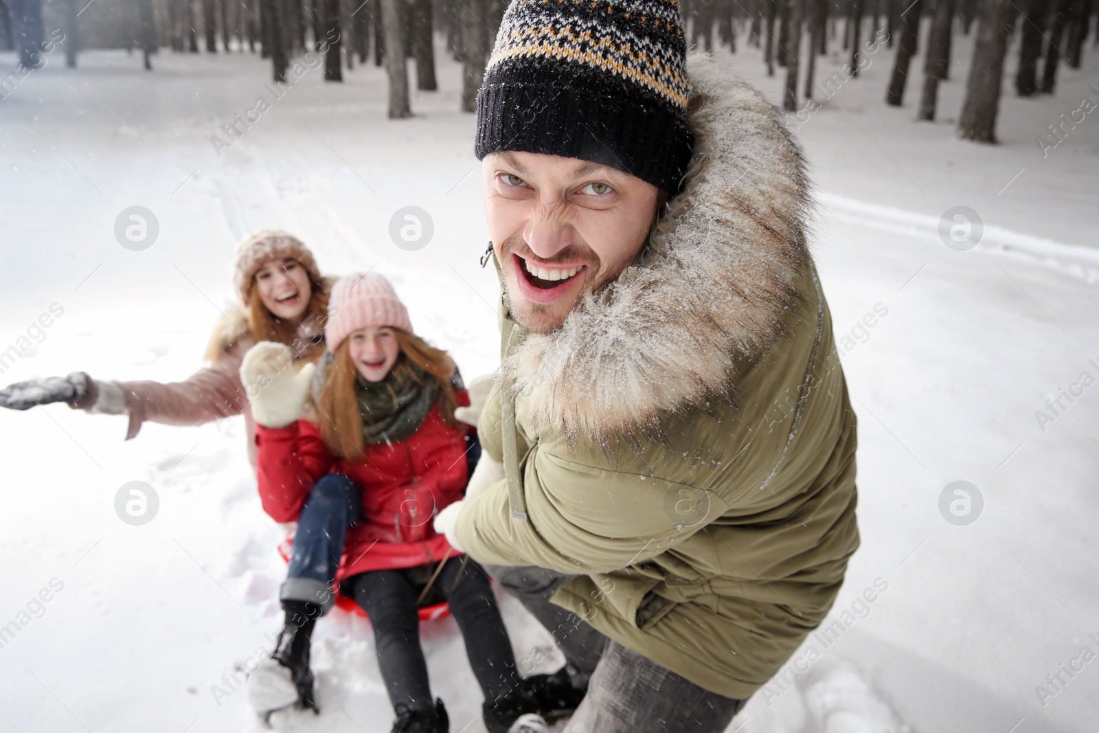 Photo of Father pulling sledge with his family in forest on snow day