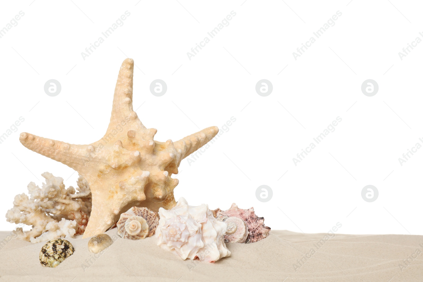 Photo of Beautiful starfish, coral and sea shells in sand on white background