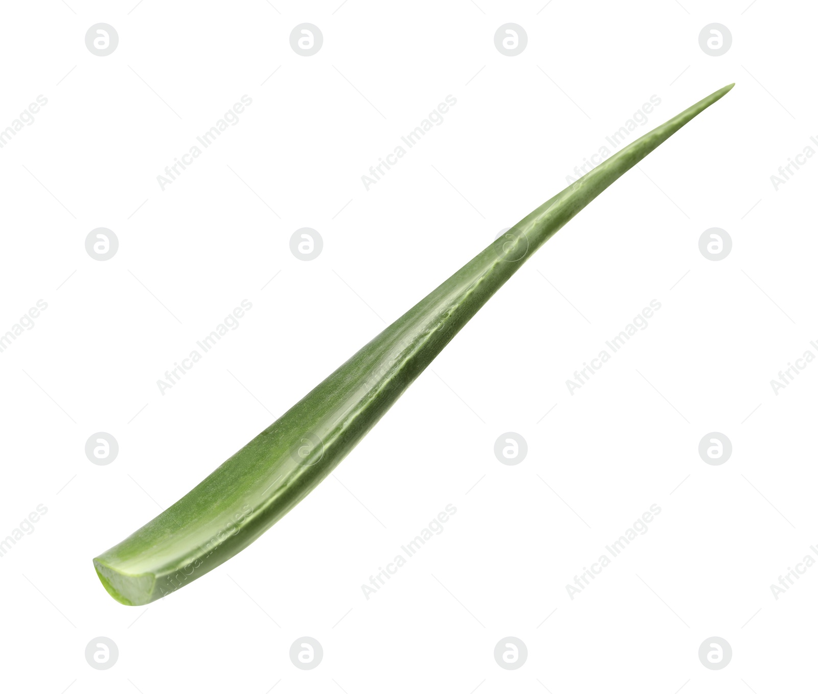 Photo of One aloe vera leaf isolated on white