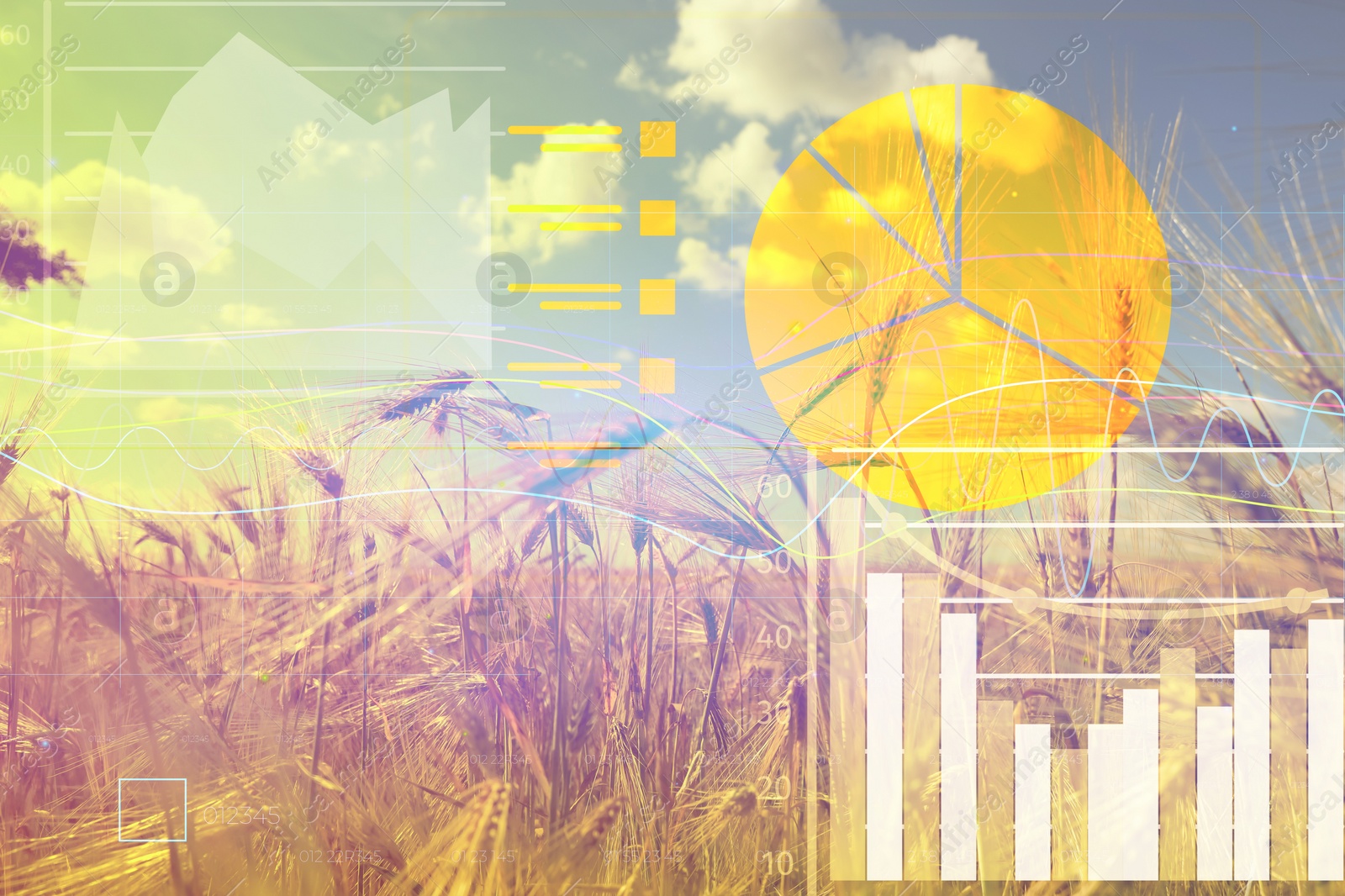 Image of Grain prices. Wheat field and graphs, double exposure