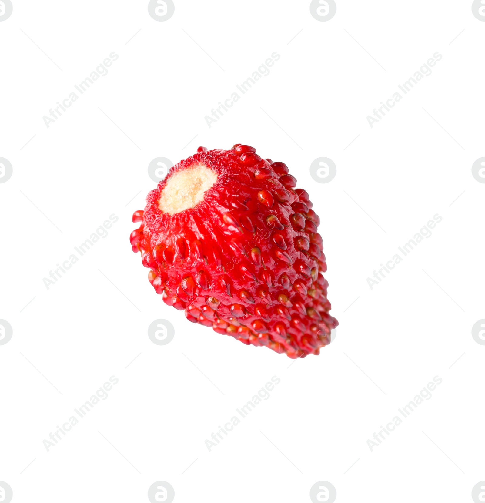 Photo of One ripe wild strawberry isolated on white