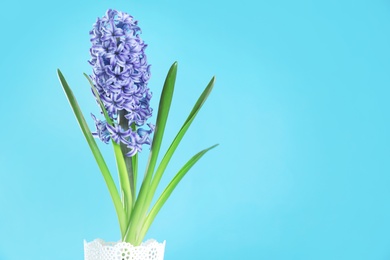 Photo of Beautiful hyacinth in pot on color background, space for text. Spring flower