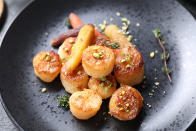 Delicious fried scallops with carrot and spices on dark gray plate, closeup