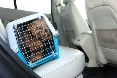Photo of Cute dog in pet carrier travelling by car. Space for text
