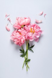 Photo of Bunch of beautiful pink peonies and petals on white background, flat lay