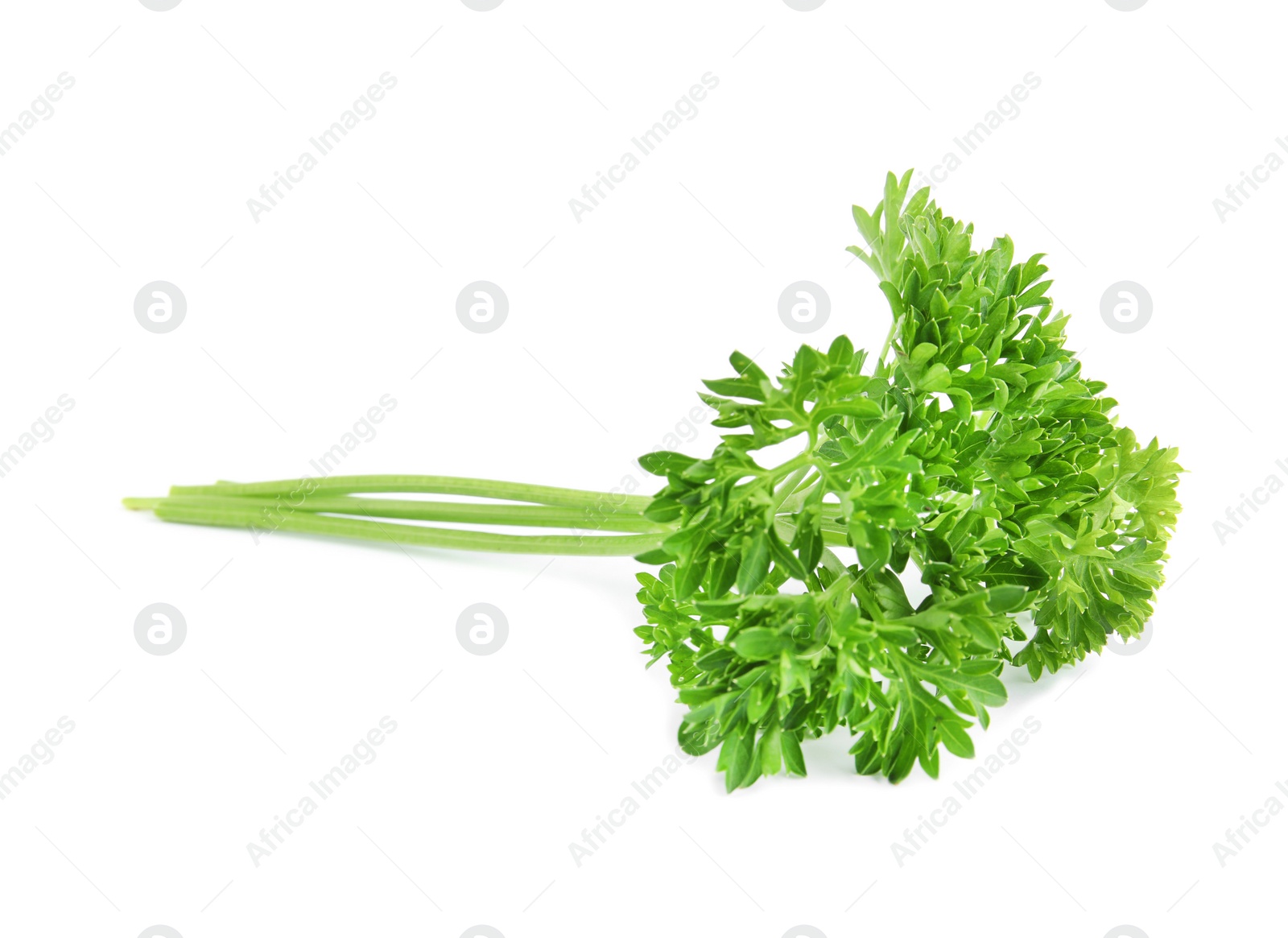 Photo of Fresh green organic parsley on white background