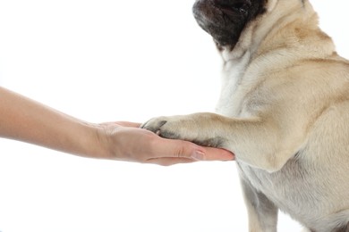 Photo of Woman holding dog's paw on white background, closeup