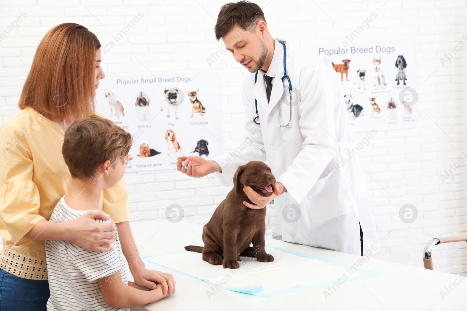 Photo of Mother and son with their pet visiting veterinarian in clinic. Doc vaccinating Labrador puppy